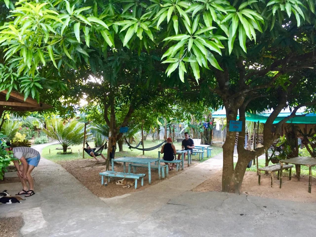 Fat Monkey Hostel Coron Exterior photo